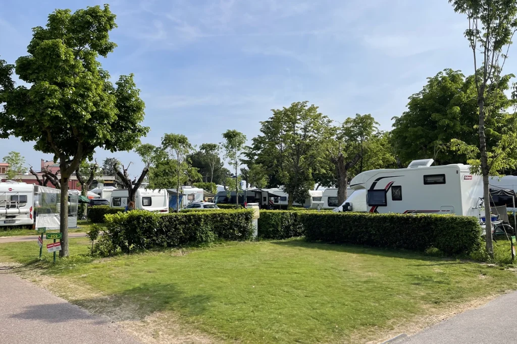 Afbeelding 3 van de galerij