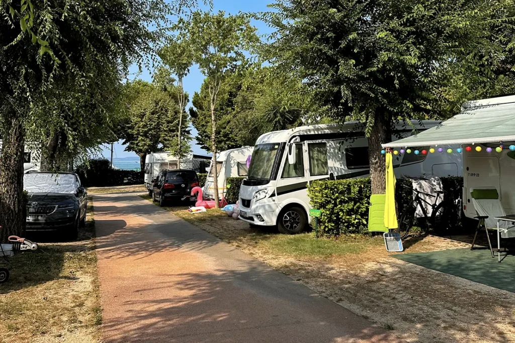 Afbeelding 2 van de galerij