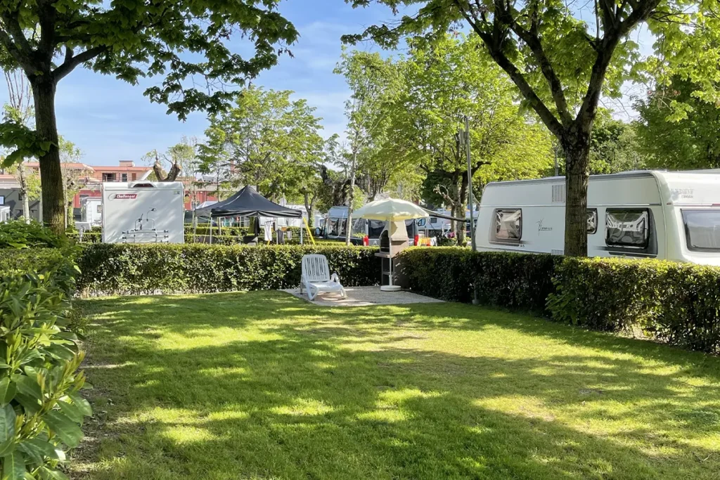 Afbeelding 2 van de galerij